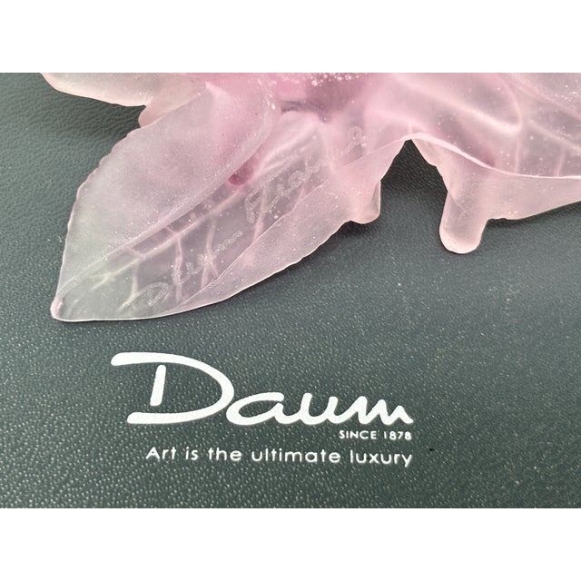 Rose Daum France Rose Passion Pâte De Verre Crystal Rose Paperweight, 1990s For Sale - Image 8 of 15