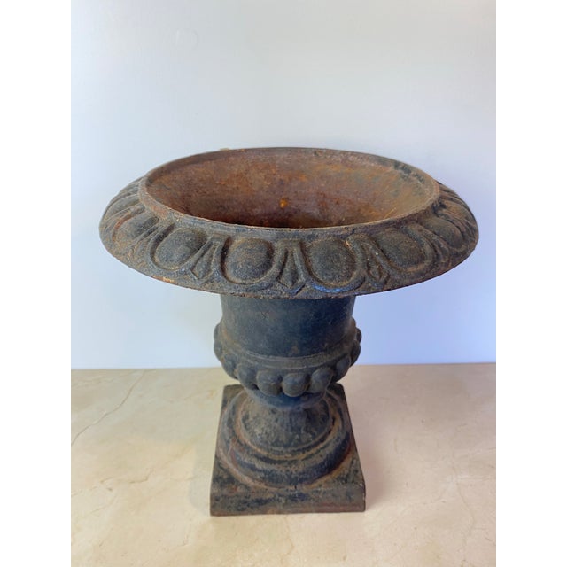 Antique cast iron garden urn in the classic campana (bell) form, with a scalloped egg-and-dart patterned rim, gadrooned...