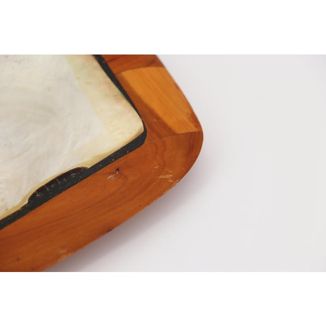 Shell and Teak Root Wood Card Receiver or Trinket Tray in the Style of Alexandre Noll, France, 1950s For Sale - Image 4 of 13