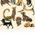 A grouping of whimsical dogs, each displaying their big personalities as they stroll the city streets.