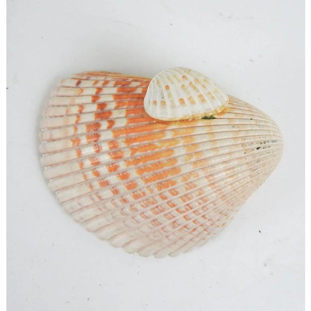 Mid 20th Century Vintage Mid 20th Century Hand Painted Sea Shell Souvenir Port Angeles Washington For Sale - Image 5 of 6