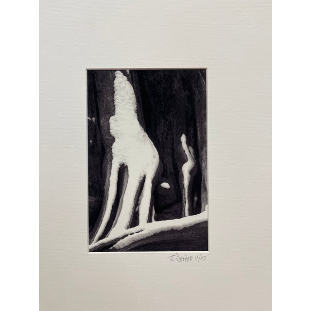 Signed Black and White Photograph "Howling Wolfe" Snow Tree Stump Illusion, North Bend Wa, Dated 2003. For Sale In Seattle - Image 6 of 10