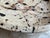 Modern Limestone Indoor/Outdoor Nouveau Bowl For Sale - Image 4 of 5