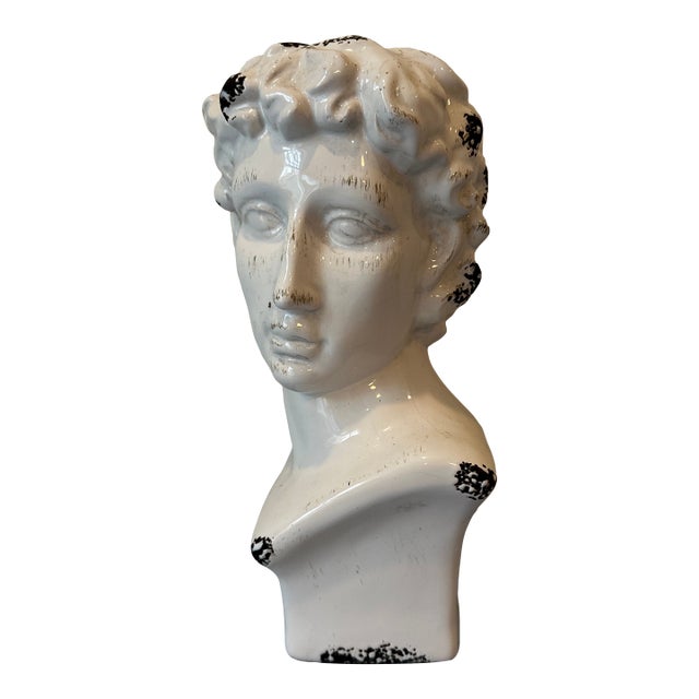 Mid 20th Century Ceramic Statue of David Bust Planter For Sale