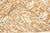 Brown Traditional Inspired Fragment Rug in Brown and Gray by Doris Leslie Blau For Sale - Image 8 of 8