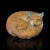 Ceramic Vintage MCM Signed Aynsley Red Fox Figurine For Sale - Image 7 of 7