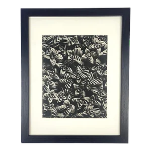 1940s Framed Botanical Blossfeldt Print - No. 58