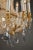Gold 19th Century 10-Light Ormolu and Crystal Basket-Shaped Chandelier For Sale - Image 8 of 17