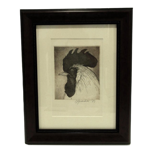 Rooster Etching Donna Guardino Signed Print 1979 in Wood Frame For Sale