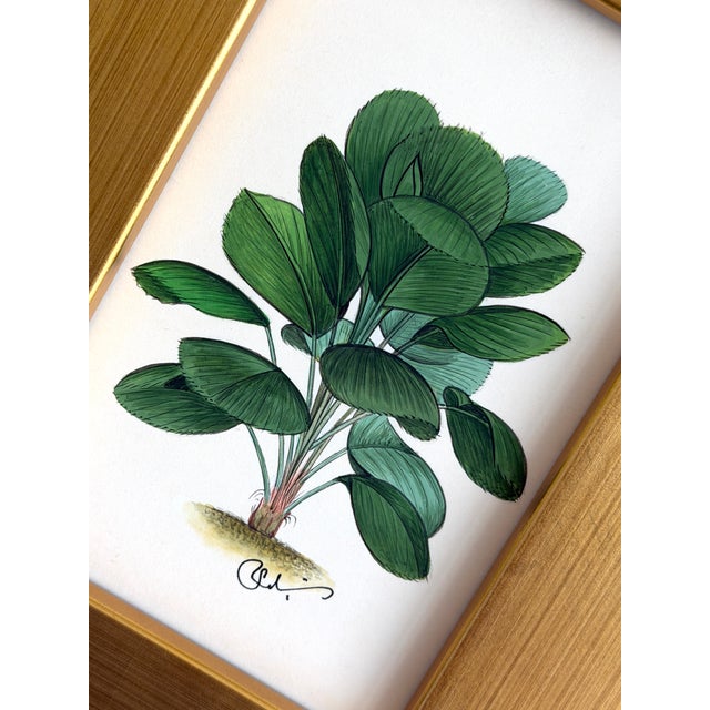 Hand-painted by master artists using acrylic paints and natural pigments, this botanical painting is all about layers of...