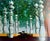 2003 1st Edition of "Magritte", by Jean-Michel Goutier For Sale - Image 15 of 17