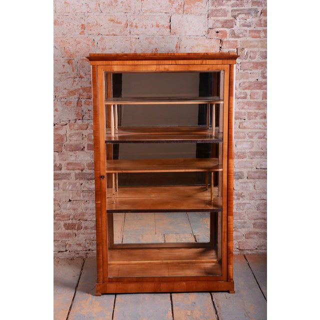 Brown Antique Biedermeier Display Cabinet in Spruce, 1830s For Sale - Image 8 of 16