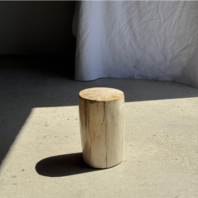 Small Side Table in Speckled White and Beige Petrified Wood, 1980s For Sale - Image 8 of 18