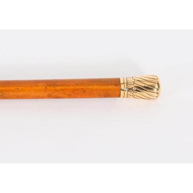 Antique Walking Stick Cane in 18k Gold Pommel, 1800s For Sale - Image 9 of 11