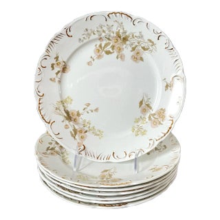 Henry Alcock & Co England Semi Porcelain Floral Daisy Dinner Plates Set of 7 For Sale