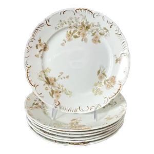 Henry Alcock & Co England Semi Porcelain Floral Daisy Dinner Plates Set of 7