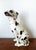 Vintage Ceramic Dalmatian Dog, Italy, 1970s For Sale - Image 3 of 14