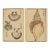 Vintage Japanese Seashell Studies Diptych, Woodblock Print Reproduction Set, 20" X 30" For Sale