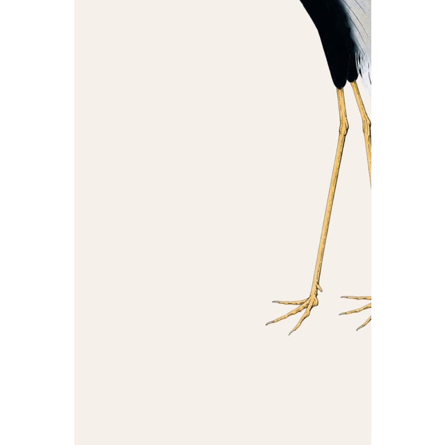 Not Yet Made - Made To Order Japanese Crane Study I, Original Print, 24" X 36" For Sale - Image 5 of 10