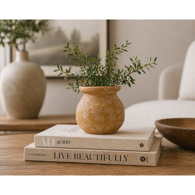 Mustard Seed Pot For Sale - Image 11 of 11