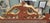 Beautiful vintage guilt Mirror carved with Grapes and Leaves. Measuring 34 inches wide by 55 inches tall. In excellent...