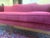 Red Vintage Red Velvet Sofa For Sale - Image 8 of 18