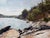 "The Light that Falls" is an oil on panel painting by Jon Doran, completed in 2026. A quiet inlet on the Cornish coast...