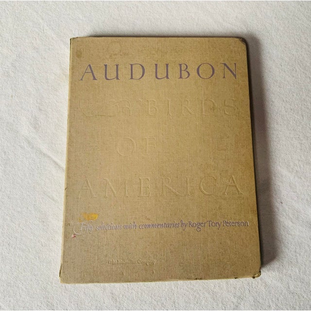 1950s 1950s Audubon Birds of America — Complete Portfolio of 50 Color Prints With Roger Tory Peterson Commentaries, Macmillan For Sale - Image 5 of 14