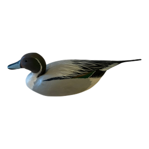 Dan Brown 1973 Male Pintail Duck Decoy
