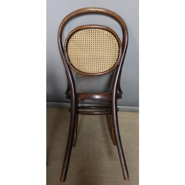 Chairs and Armchairs by Michael Thonet for Thonet, 1890s, Set of 11 For Sale - Image 5 of 10