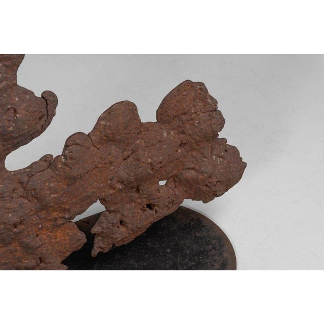 Modern Abstract Plant Sculpture from Theo Niermeijer, 1970s For Sale - Image 9 of 15