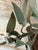 Rare Vintage Italian Tole Lemon Tree Wall Jardiniere With Five-Light Candelabra, Two-Piece Set For Sale - Image 9 of 12