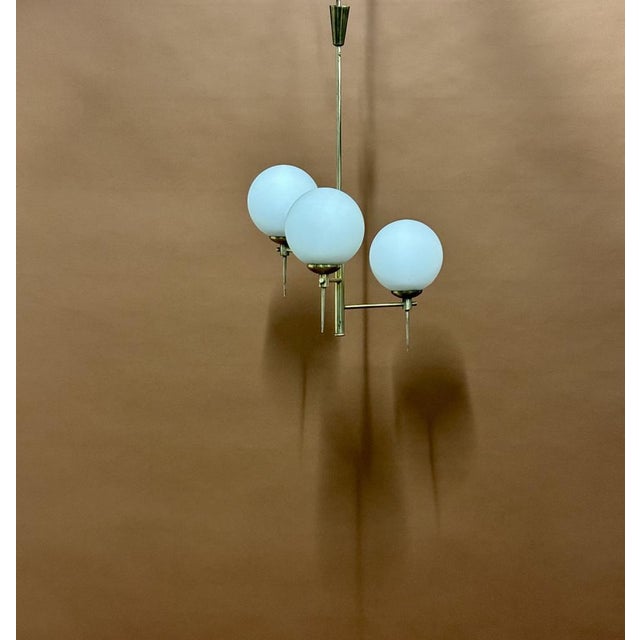 Chandelier from Maison Lunel, France, 1950s For Sale - Image 9 of 9