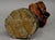 Carving of a Dwarf With Snuffbox 19th Century For Sale - Image 6 of 7