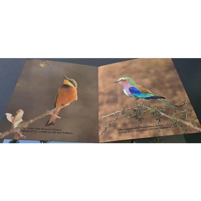 Photography Whispers in the Wind a Tweet From the Wild For Sale - Image 7 of 17