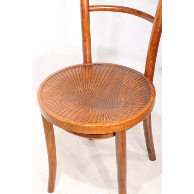 Rustic European Early 20th Century Iconic Vienna Secessionist Style Bentwood Cafe Dining Bistro Chair For Sale - Image 3 of 5