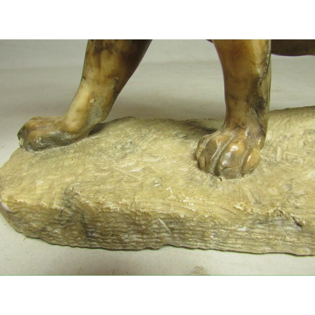 Grand Tour Italian Marble Lion For Sale - Image 11 of 12