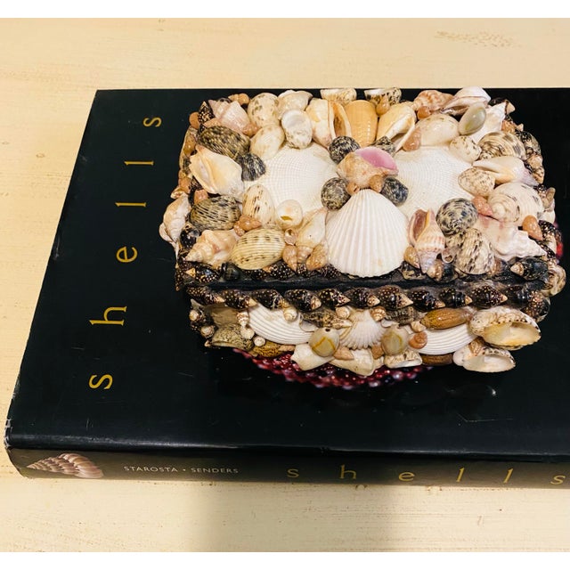 Beautiful vintage Shell encrusted treasure box. Black velvet interior. Looks great alone or grouping a collection.