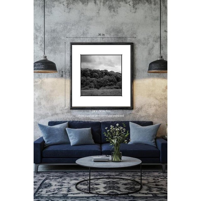 Paul Cooklin, Woodland, Tarr Steps, Exmoor, Edition of 50 For Sale - Image 4 of 6