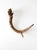 Naturally shed deer antler with rich, weathered coloration, pronounced burr detail, and a graceful sweeping form. Each...