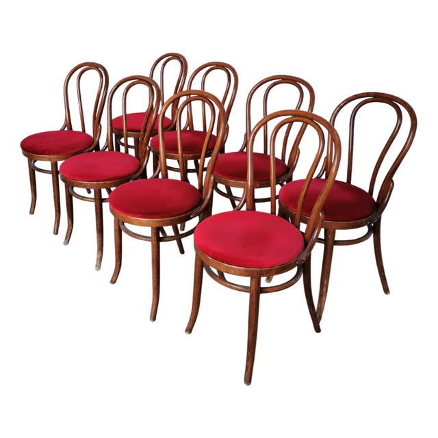 Vintage Bentwood Bistro Chairs, 1970s, Set of 8 For Sale