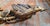 19th Century Chinoiserie Chinese Carved Giltwood Architectural Fragment With Birds and Pomegranates For Sale - Image 13 of 18