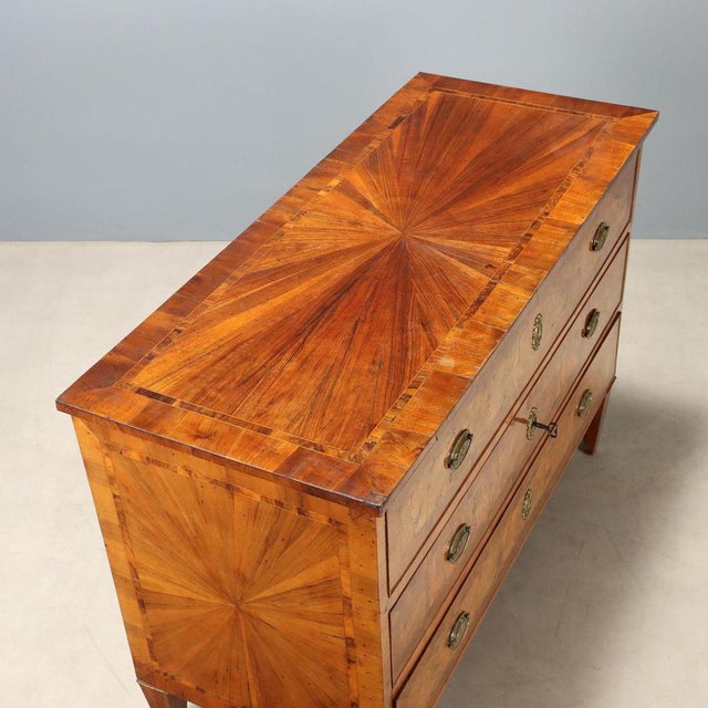 Neo-Classical Walnut and Burlwood Chest of Drawers For Sale - Image 9 of 12