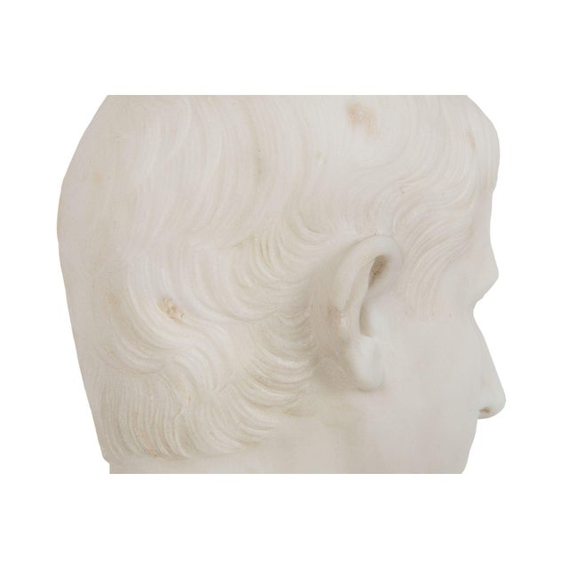 Grand Tour Antique Italian Carved Marble Bust of Young Caesar Augustus For Sale - Image 13 of 16