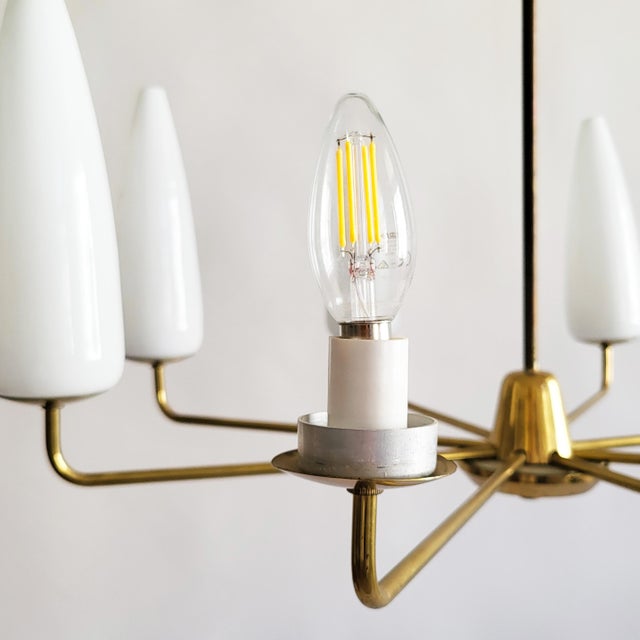 Mid-Century Modern Austrian Brass Chandelier by Rupert Nikoll, 1950s For Sale - Image 9 of 13