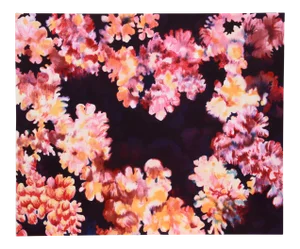 Joan Melnick Coral 2 Lithograph
