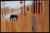 2000 - 2009 Charming Baker, Untitled, 2007, Oil on Panel For Sale - Image 5 of 5
