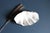 A large giant clam shell cleaned and impressive for a decorative object. Could be used for serving or as a bowl. Large...