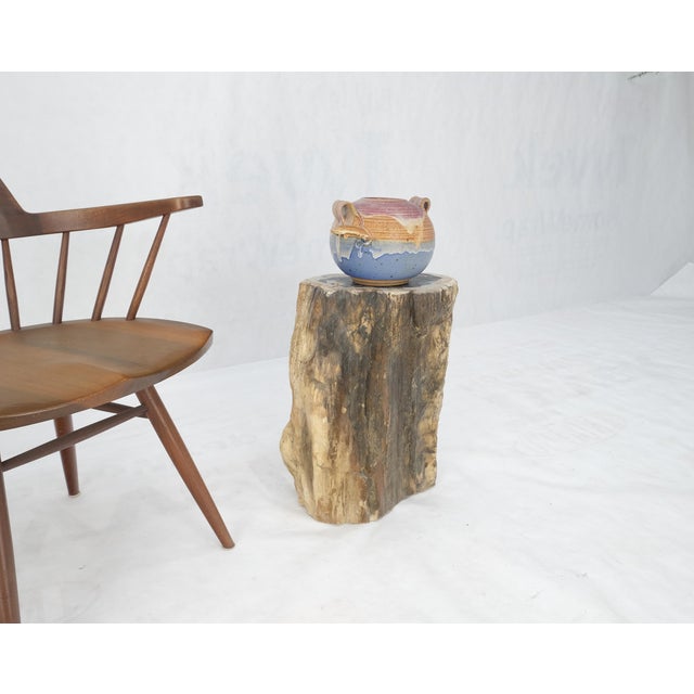 Beige Black Petrified Wood Organic Stomp Shape Stand End Side Table Pedestal For Sale - Image 9 of 10