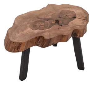 Rustic Sculptural Coffee Table in Walnut and Burnt Black Oak by Logniture